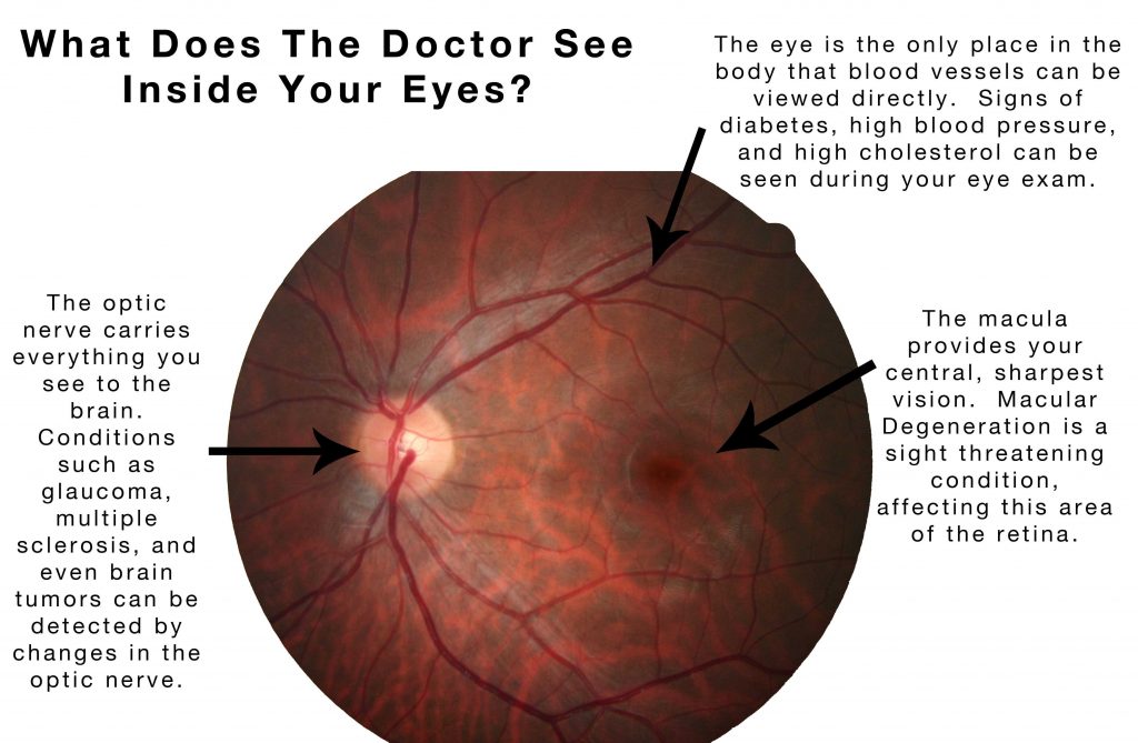 Top 10 Digital Retinal Imaging For An Eye Doctors Practices 